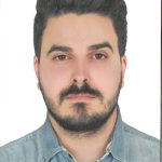 نیما آل ناصری